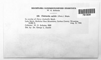 Image Associated With the Occurence
